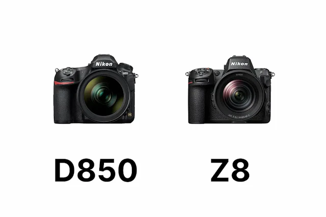 Nikon D850とZ8を比較｜静止画画質・AF・動画・価格の違いを解説【2026